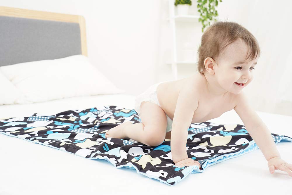 Soft Minky Baby Blanket - with Premium Dotted Backing Whale Printed - Unisex - for Stroller, Crib, Newborns, Receiving (30"x40") : Baby