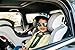 Clek Foonf Convertible Car Seat