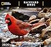 National Geographic Backyard Birds 2020 Wall Calendar by 