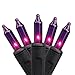 Northlight Set of 100 Pink Purple Mini Halloween or Christmas Lights - Black Wire