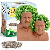 Stepbrothers Chia Decorative Pottery Planter