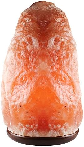 Salt Gems Himalayan Salt Lamp Natural Hand Carved Crystal Rock Salt Lamp with Elegant Wood Base, 25W Bulb and Electric-Cord Included, X-Large, 11~12 Inch, 15~20 lbs