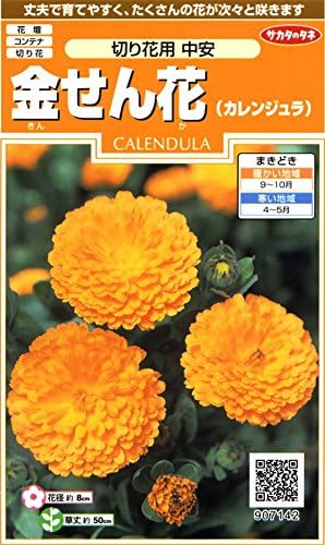 Amazon サカタのタネ 実咲花7142 金せん花 切り花用中安 10袋セット 花