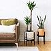 Home Euphoria Natural Bamboo Adjustable Plant Stand. Mid Century Flower Pot Holder and Display. Fits Planters and pots up to 10 Inches (Plant and Pots NOT Included) (Black Bamboo)thumb 3