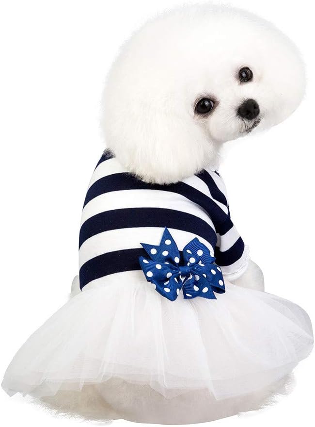 vêtements pour chien petite taille