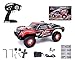 Tecesy RC Car Fighter-1 1:12 4WD 2.4G Full Scale High Speed RC Buggy Off-Road Short Course Truck (Red)