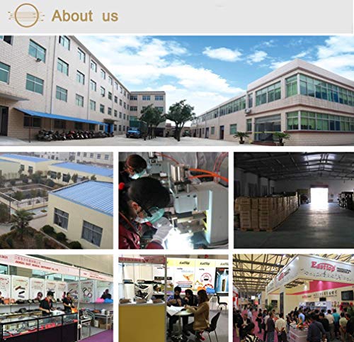 6 Harmonica+Standard+Diatonic+Beginners+Professional