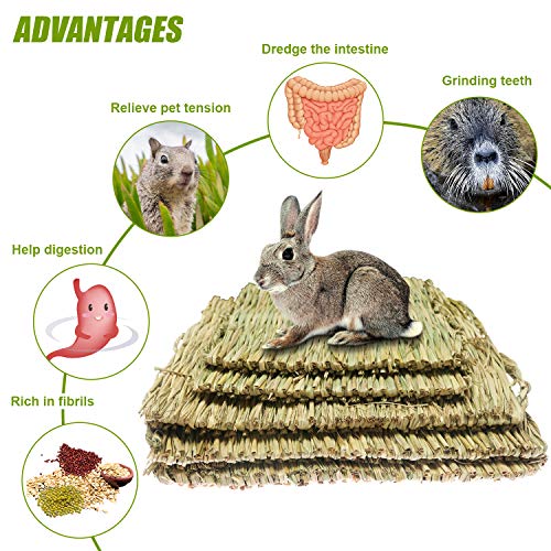 5 Pack Grass Mat Woven Bed Mat, Small Animal Natural Straw Bedding Nest Mat Chew Toys Bed Play Toy for Guinea Pig Parrot Rabbit Bunny Hamster Rat (3 Large 2 Small)