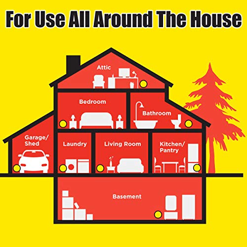 2 D+Ultra+Covered+Snap+Trap