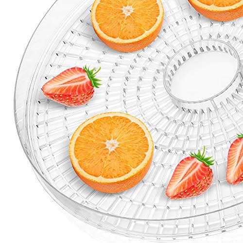Food Dehydrator,5 Trays Fruit Vegetable Nuts Dryer, Temperature Preset Food Preserver for Fruits,Vegetable,Beef Jerky Maker - Thumbnail 3