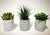 Pretty Home Potted Artificial Succulent Plants, Set of 3, Tile Pattern Pots