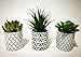 Pretty Home Potted Artificial Succulent Plants, Set of 3, Tile Pattern Pots