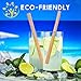 BAMBOO STRAWS REUSABLE Drinking Straw 10 Straws (19.5cm) ZONE - 365