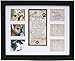 Pet Memorial Collage Frame for Dog or Cat with Sympathy Pawprints Left by You Poem - Made in the USA