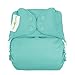 bumGenius Freetime All-in-One One-Size Snap Closure Cloth Diaper (Mirror)