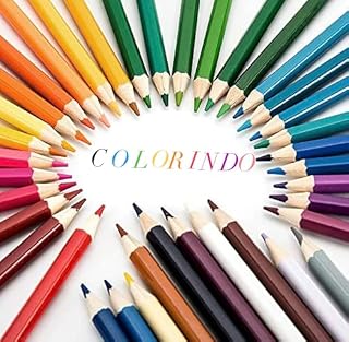 Livro COLORINDO