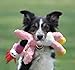 KONG - Wild Knots Flamingo - Internal Knotted Ropes and Minimal Stuffing for Less Mess - For Medium/Large Dogs