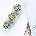 MyGift Set of 3 Realistic Artificial Succulent Planters w/Round White Ceramic Pots & Decorative Display Tray