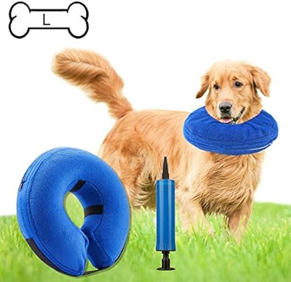 Inflatable dog collar target Clearance
