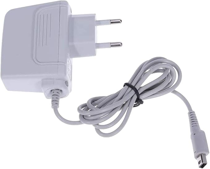 RXING Chargeurs pour Nintendo DS Adaptateur d'alimentation pour