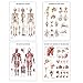 [Pack of 4] Muscular and Skeletal System Anatomical Laminated Posters with Ligaments of The Joints and Injuries of The Shoulder Poster/Skeleton Poster Pack Human Anatomy Poster Medical Poster 17 x24