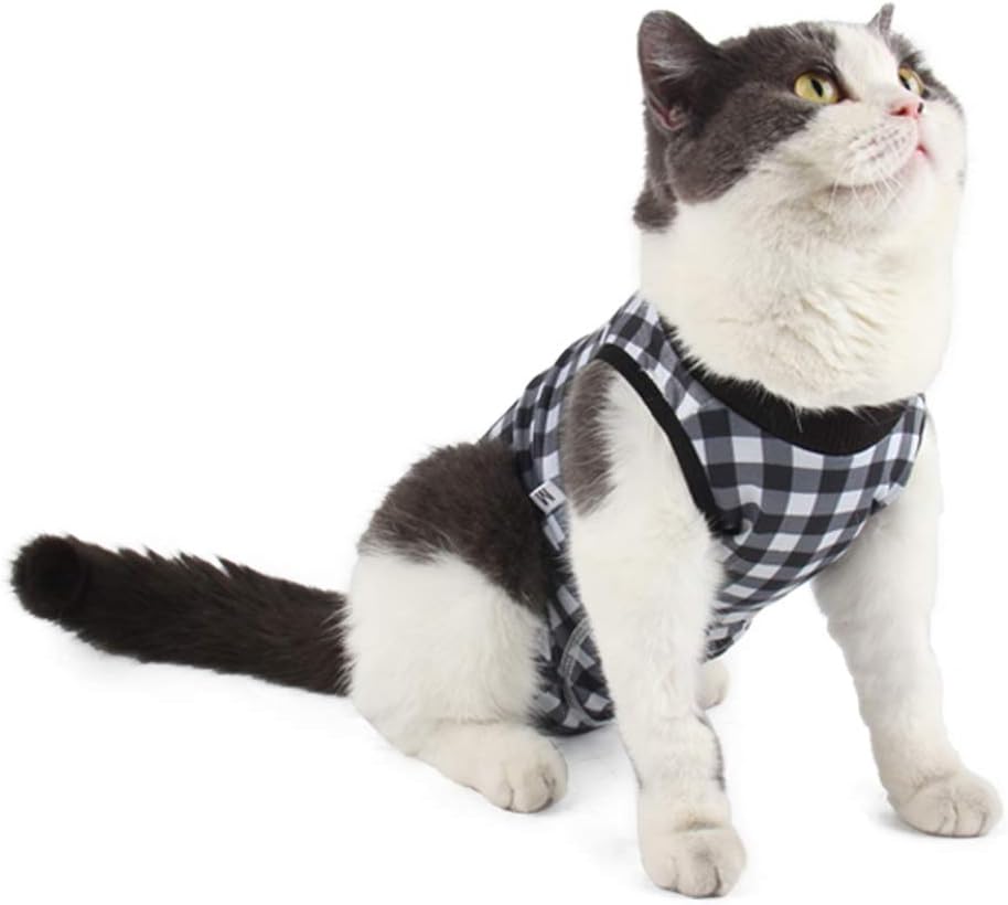 post surgery shirt for cats
