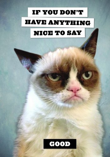 Grumpy Cat Flexi Journal by Grumpy Cat