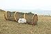 RORAIMA Collapsible Mesh Cat Play Tunnel for Indoor cat Size 17
