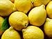 Lemons For Master Cleanse from Organic Mountain