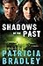 Shadows of the Past (Logan Point Book #1): A Novel by Patricia Bradley