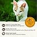 Wellness CORE Pate Adult Wet Cat Food, Natural, Protein-Rich, Grain Free, 5.5 Ounce, 24 Pack (Whitefish, Salmon & Herring)