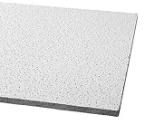Acoustical Ceiling Tile 48
