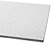 Acoustical Ceiling Tile 48