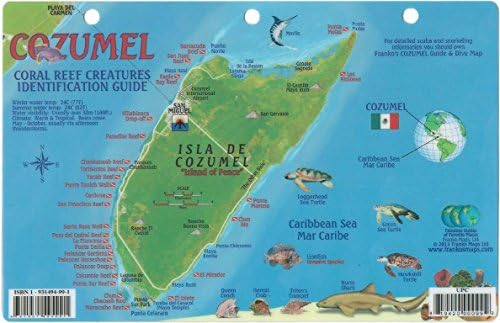 Cozumel Fish and Creature Guide Franko Laminated Maps - Fish ID and Maps Franko's Maps about 9 x 6 Snorkel Snorkeling Travel Scuba Dive Diving Diver, Model: , Spoorting Goods Shop