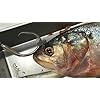 Live-Bait-Zip-Bridle-Needle-Hook-Harness-and-Zip-Tie-in-One Live-Bait-Zip-Bridle-Needle-Hook-Harness-and-Zip-Tie-in-One