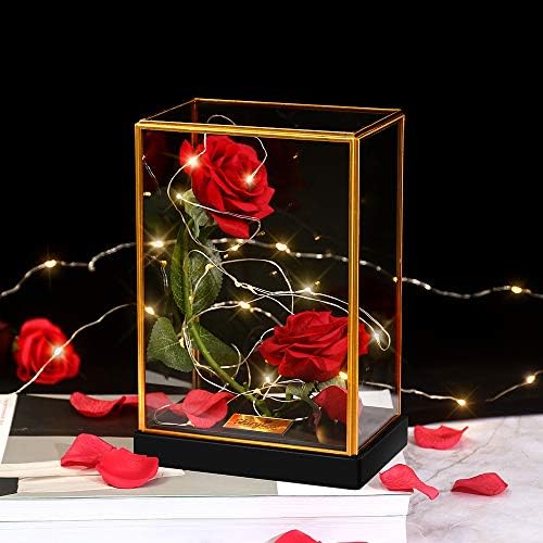 Shirylzee 造花 バラ LEDライト ベッドサイドランプ 薔薇 花 ギフト 枯れない花 シルク 電池式 クリスマス ホワイトデー 母の日 結婚式 パーティー 新年 卒業 入学 出産 敬老の日 に 最適な プレゼント 置物 インテリア飾り ロマンチック 妻 母 彼女 恋人 女性 友達 へ (レッド)