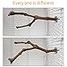 kathson Parrot Perches,Birds Stand Pole Natural Wild Grape Stick Grinding Paw Climbing Standing Cage Accessories Toy Branches for Cockatiels,Cockatoo,Lorikeet,Conure,Parakeetthumb 4