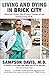 Living and Dying in Brick City: Stories from the Front Lines of an Inner-City E.R. - Book by Sampson Davis, M.D.