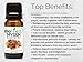 BioFinest Myrrh Oil - 100% Pure Myrrh Essential Oil - Premium Organic - Therapeutic Grade - Best For Aromatherapy - Boost Immune System - Heal Wound - FREE E-Book (10ml)