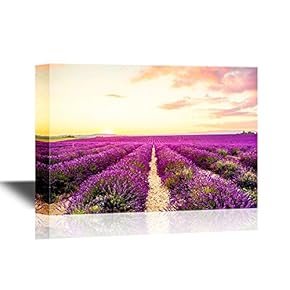 Landscape Canvas Wall Art - Purple Lavender Field - Gallery Wrap Modern Home Art | Ready to Hang - 12x18 inches
