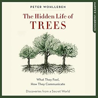 Hidden Life of Trees 