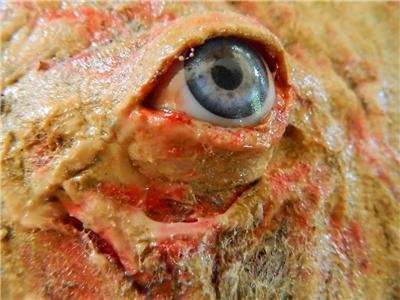 Latex Flesh With Realistic Eye Prop by Dead Head Props