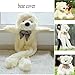 Fengheshun 180 Cm Super Giant Teddy Bear Outer Cover Animal Toy Huge Bear Shell Purple (Not Filled),Give Girlfriend The Best Gift On Valentine's Day (White, 1.8m)