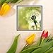 2 Pack 5D DIY Dandelion Diamond Painting Set Full Drill Diamond Painting Kits By Numbers DIY Tools,Dandelion(30x30CM/12