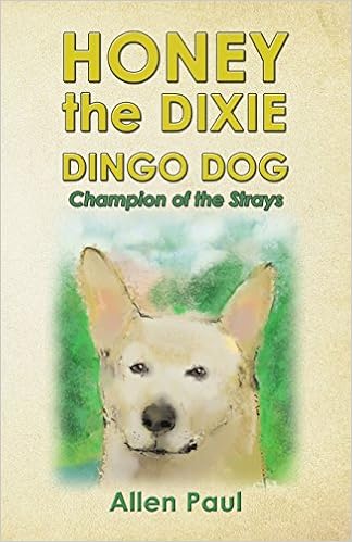 amazon dingo