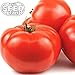 Beefsteak Tomato Seeds - 250 Seeds Non-GMO primary