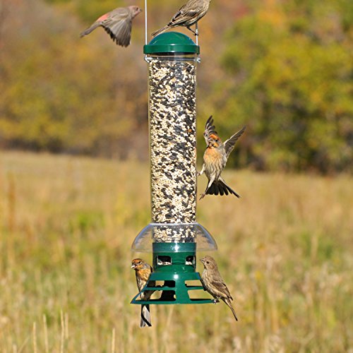 Perky-Pet 5141-2 Squirrel Slammer Wild Bird Feeder