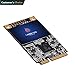 GAMERKING SSD msata 240GB Internal Solid State Drive High Performance Hard Drive for Desktop Laptop SATA3 6Gb/s Mini PC (240GB, MSATA)