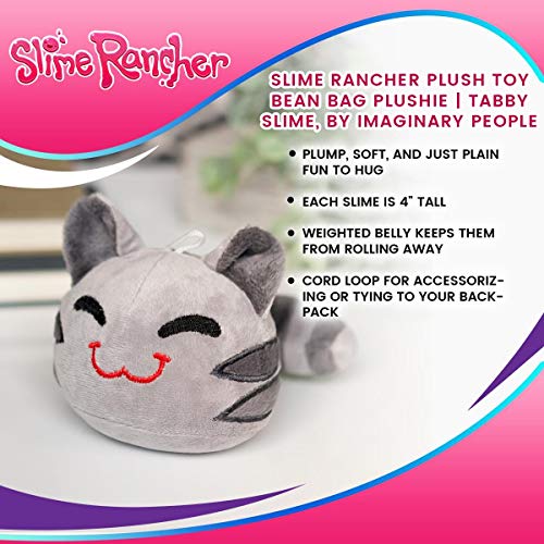 tabby slime plush