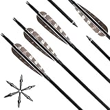 Narchery (12 Pack) 31
